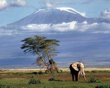 Kilimanjaro Tanzania