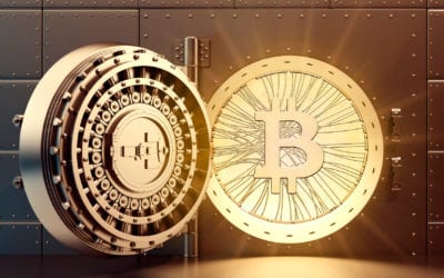 Keeping Your Wallet Safe