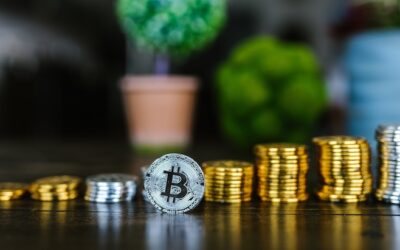 Thinking of Investing in Crypto Currency with Your Solo 401k or Checkbook IRA?